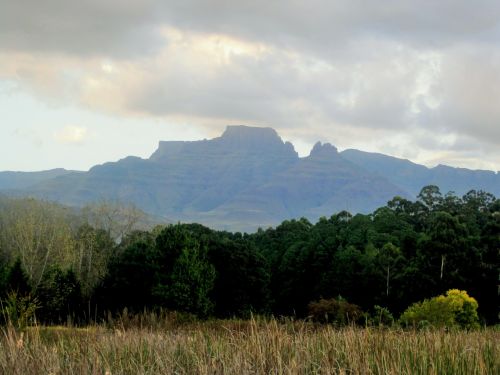 Kalnai,  Veld,  Medžiai,  Žolė,  Debesys,  Veldas Ir Kalnai,  Drakensbergas