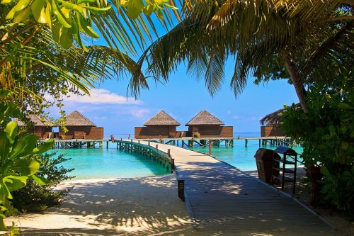 Veligandu Sala, Maldyvai, Veligandu, Atsipalaidavimas, Egzotiškas, Atogrąžų, Sala