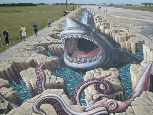 Grafiti, Gatvės Menas, Venecija, Florida, Kreidos Menas, Ryklys