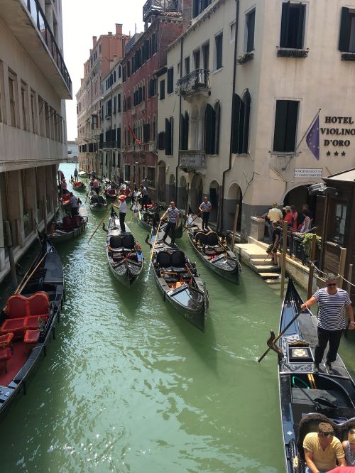 Venecija, Gondola, Vanduo, Italy, Plaukiojimas, Šventė, Gondolieris