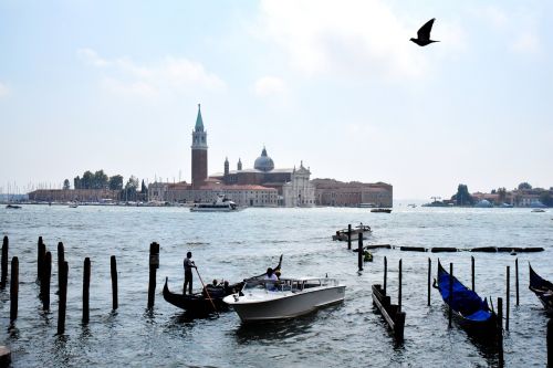 Venecija, Italy, Watertown, Laivas, Paukščiai