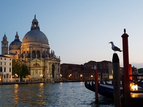 Venecija,  Europa,  Twilight,  Romantiškas,  Bazilika,  Grand Kanalas,  Žuvėdra,  Medaus Mėnuo