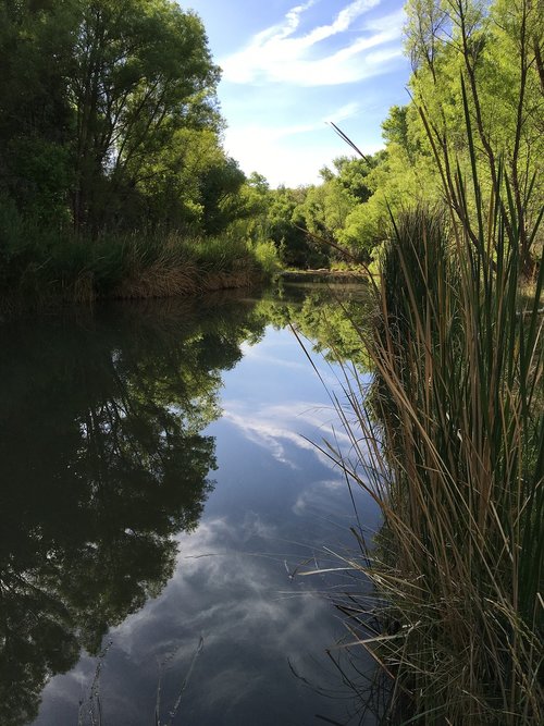Verde Upės,  Cottonwood Arizona,  Dangus,  Upė,  Atspindys