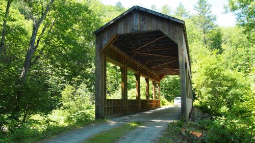 Tiltas, Mediena, Miškas, Vermont, Usa