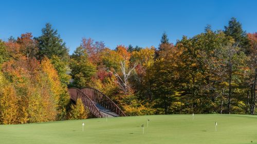 Vermont, Stowe, Kritimas, Lapija, Ruduo, Amerikietis, Spalvinga, Kraštovaizdis, Tiltas, Gamta, Usa, Kelionė, Turizmas, Scena