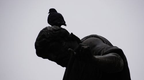 Vienna, Paukštis, Statula, Menas, Paukščiai, Skulptūra
