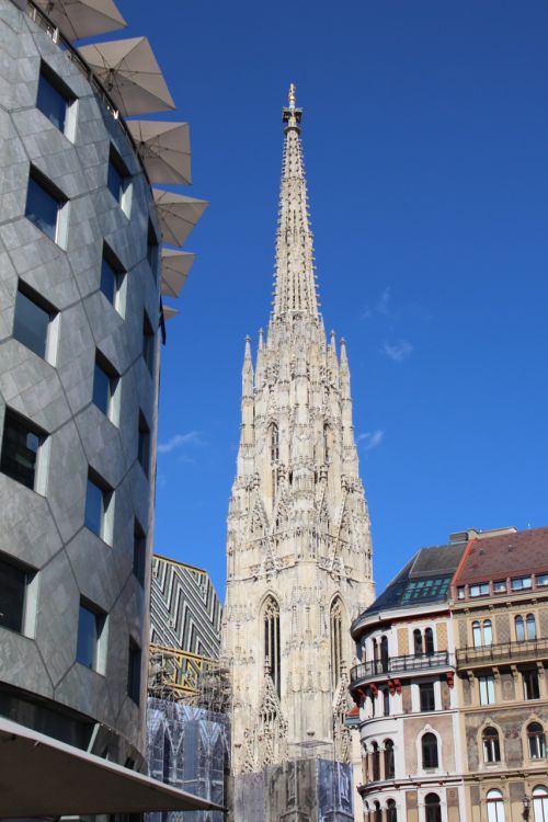 Vienna, Dom, Austria, St Steano Katedra