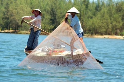 Žvejyba, Vietnamas, Asija, Kelionė, Ežeras, Valtis, Darbas