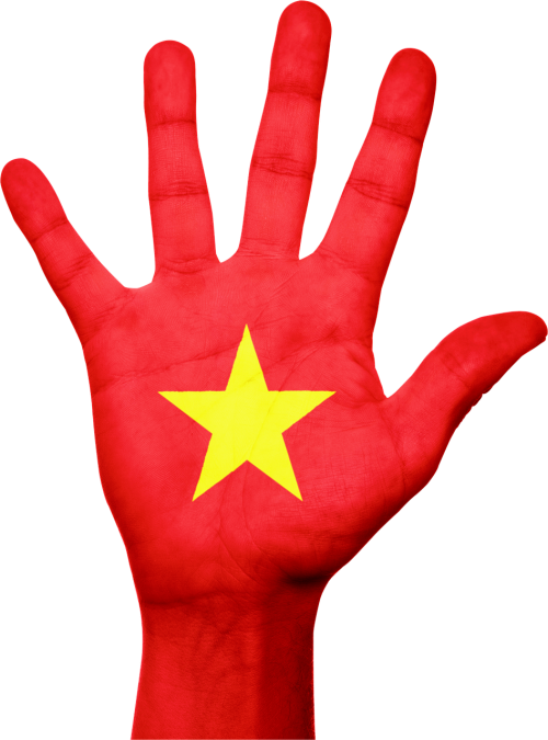 Vietnamas, Vėliava, Ranka, Asian, Nacionalinis, Šalis, Pasididžiavimas, Simbolis