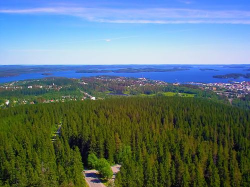 Vaizdas, Miškas, Medžiai, Miestas, Ežeras, Puijo, Kuopio, Suomių