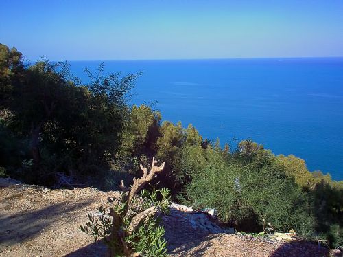 Vaizdas, Jūra, Viduržemio Jūra, Krūmai, Sidi Bou Sakė, Tunisas, Tuniso Respublika, Dangus, Mėlynas, Horizontas