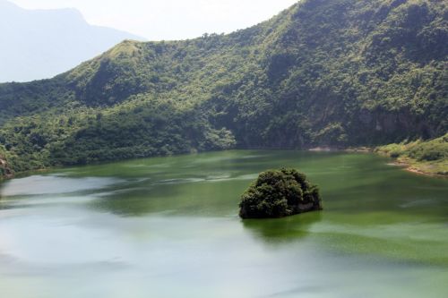 Ežeras,  Taal & Nbsp,  Ežeras,  Vaizdas,  Gamta,  Vanduo,  Medžiai,  Lapai,  Filipinai,  Žolė,  Pamatyti Taalio Ežero Viduje 3