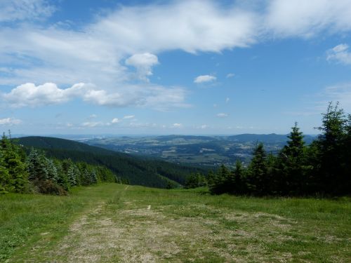 Liberec,  Čekų,  Žalias,  Medis,  Žolė,  Kelias,  Žiūrėti Į Liberecą