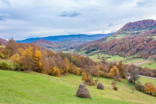 Kaimas, Medžiai, Ruduo, Kraštovaizdis, Gamta, Kalnas