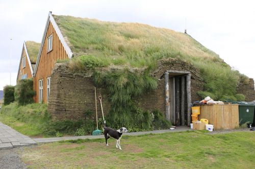 Kaimas, Namai, Žolė, Iceland