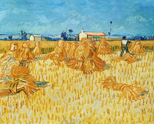 Vincent Van Gogh, Derlius, Šiaudai, Šienas, Lauko Darbas, Ūkis, Auginimas, Lauko Ekonomika, Vasara, Provence, Tapyba Aliejiniais Dažais, Menas, Meno Kūriniai, 1888
