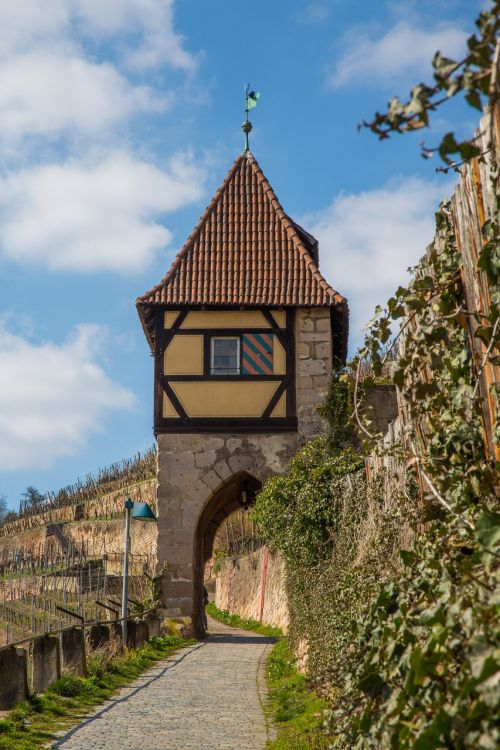 Vynuogynas, Bokštas, Viduramžiai, Esslingen