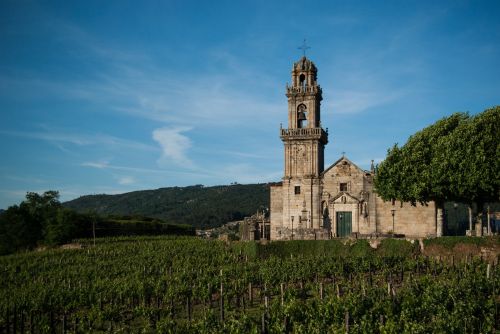 Vynuogynas, Vynmedis, Ribeiro, Galicia, Ourense