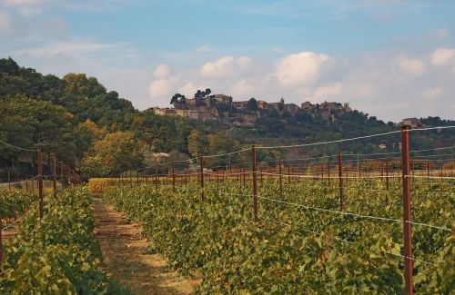 Vynuogynas, Vynas, Vynuogių Auginimas, Kraštovaizdis, Provence