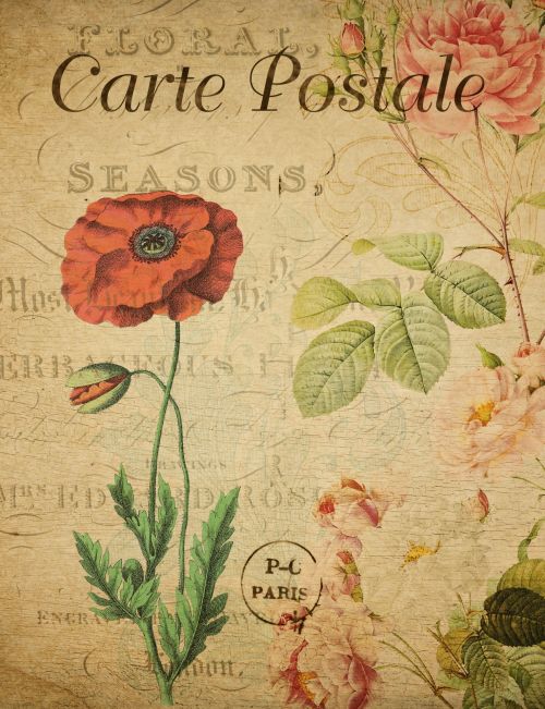 Atvirukas,  Prancūzų Kalba,  Vintage,  Raudona,  Aguona,  Gėlė,  Gėlės,  Gėlių,  Senas,  Fonas,  Scrapbooking,  Laisvas,  Viešasis & Nbsp,  Domenas,  Vintage Postcard Red Poppy Flower