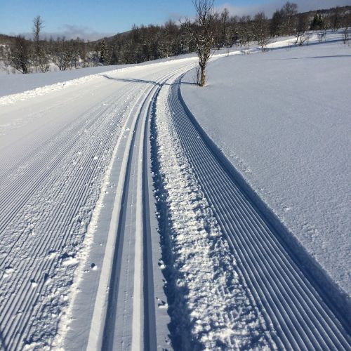 Vinterspår, Sniegas, Motoroleris