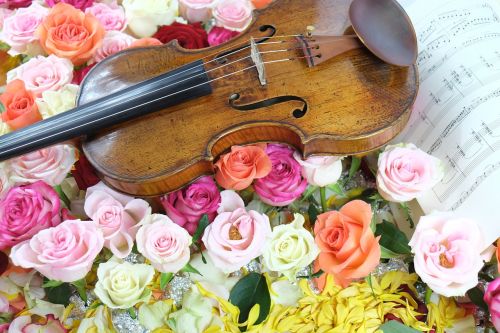 Smuikas, Rožė, Muzika