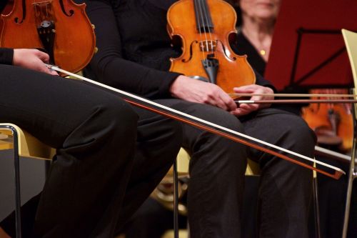 Smuikas, Eilutė, Iš Arti, Muzikinis Instrumentas, Instrumentas