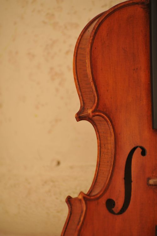 Smuikas, Muzika, Menas, Muzikinis, Instrumentas, Muzikantas, Melodija, Klasikinis