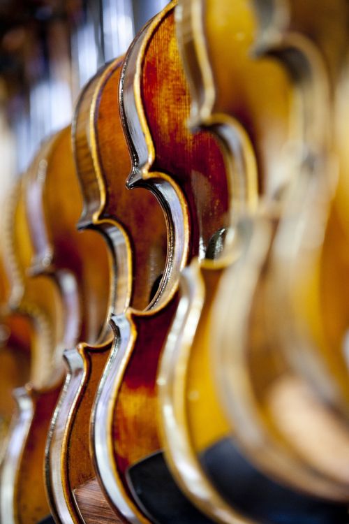 Smuikas, Muzika, Instrumentas, Ansamblis, Grojo, Hobis, Klasikinis, Muzikantai, Orkestras, Styginiai Instrumentai