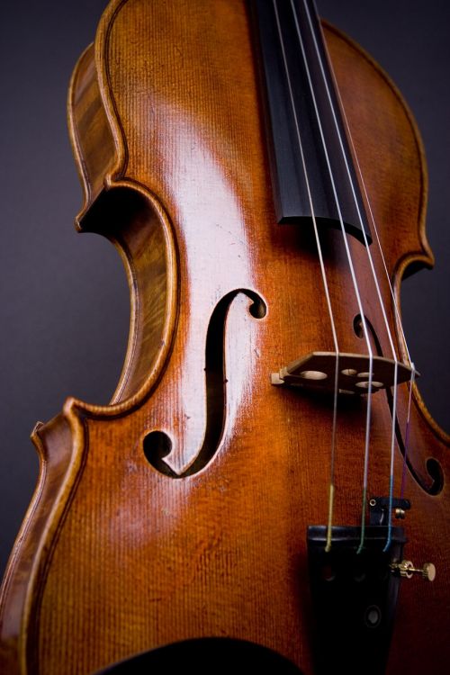 Smuikas,  Altas,  Orkestras,  Violončelė,  Klasikinis,  Instrumentas,  Be Honoraro Mokesčio