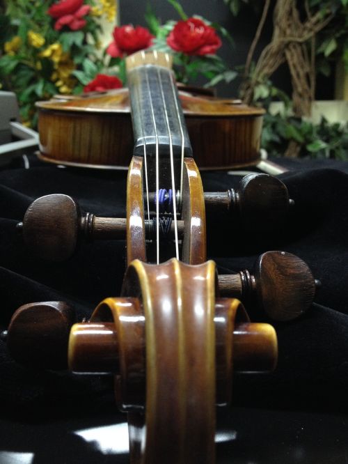 Smuikas, Muzika, Instrumentas