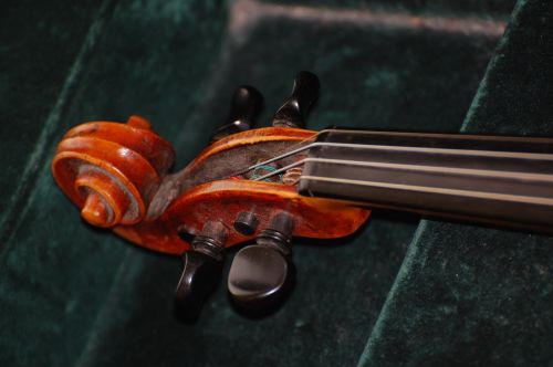 Smuiko Kirminas, Sraigė, Smuikas, Muzikinis Instrumentas