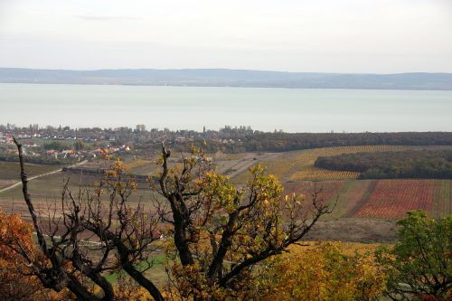 Vista, Balaton Ežeras, Hegyestűről