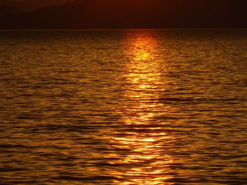 Vízfodor, Aranyhíd, Balaton Ežeras