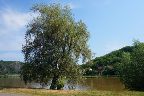 Vltava Upės,  Čekija,  Vltava,  Upė,  Vandens,  Medis,  Panorama,  Gamta