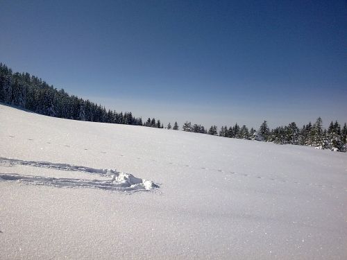 Vorarlbergas, Žiema, Sniegas, Hochhädrich, Slidinėjimas Atokioje Pakrantėje