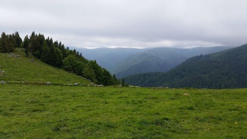 Vosges, Aukščiausiojo Lygio Susitikimas, France, Alsace, Medžiai, Miškas, Kraštovaizdis, Šaltas, Žalias, Pilka, Debesis, Gamta, Laukiniai, Oras, Spalvinga, Pieva, Kaimas, Žolė, Aplinka, Kalnas