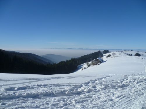 Vosges, Sniegas, Žiema, Kalnai, Rūkas, Juodasis Miškas