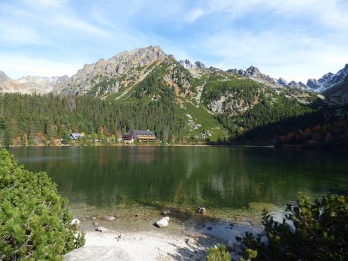 Vysoké Tatry, Popradské Ežeras, Miškai, Kalnai, Gamta, Slovakija, Medžiai, Kelionė