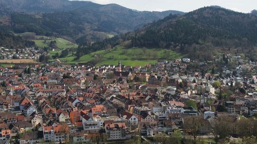 Waldkirch,  Kaimas,  Juodasis Miškas,  Paukščio Skrydžio Vaizdas,  Stogai,  Kalnai