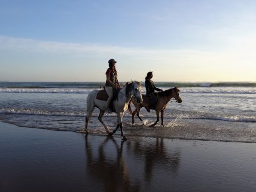 Vaikščioti Paplūdimyje, Arkliai, Bali, Papludimys, Jūra