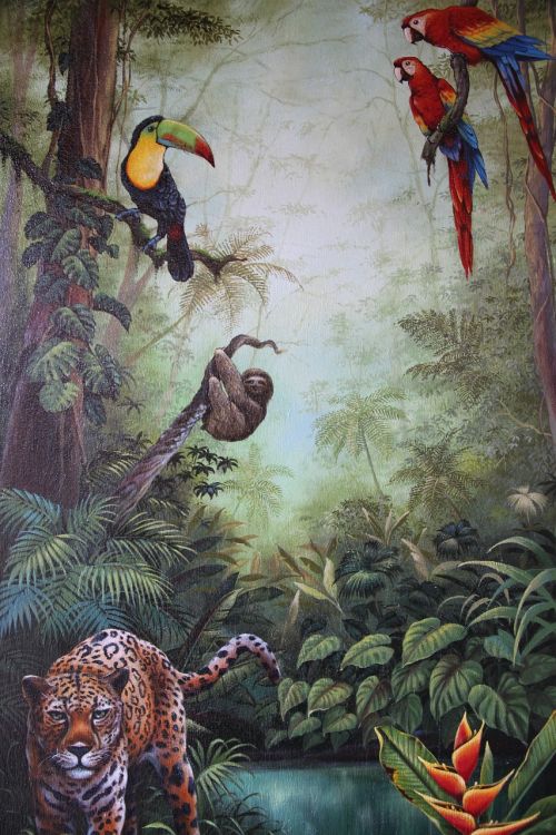 Sienų Tapyba, Kosta Rika, Gyvūnai