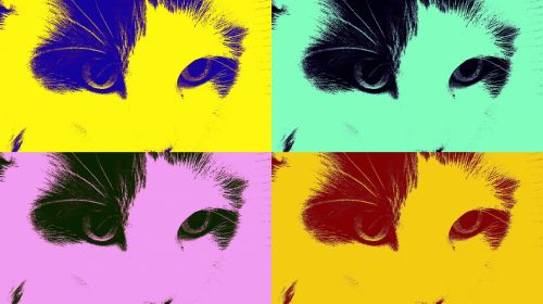 Katė,  Profilis,  Iš Arti,  Veidas,  Žalia Akys,  Juoda,  Balta,  Raudona,  Mėlynas,  Geltona,  Rožinis,  Warhol Katė