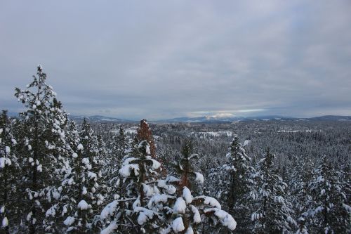 Vašingtonas, Spokane, Sniegas, Medžiai, Gamta, Lauke, Kelionė, Spalvinga, Saulė, Debesys, Žiema, Šaltas, Laukinė Gamta, Medis, Geografija, Vaizdas, Vaizdingas, Amerikietis, Žygiai, Kraštovaizdis, Takas, Parkas, Turizmas, Peizažas