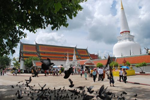 Wat Phra Mahathat, Tai Šventykla, Šventykla, Balandžiai, Turistai, Atostogos
