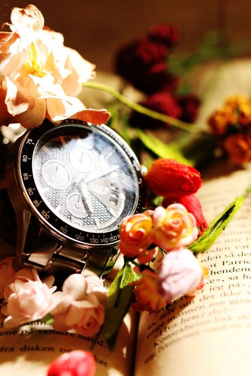 Žiūrėti, Laikas, Laikrodis, Gėlės, Knyga