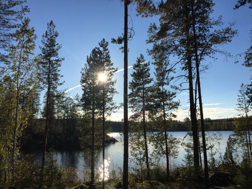 Vanduo, Daugiau, Vaizdas, Veidrodis, Mėlynas, Gamta, Medis, Finland