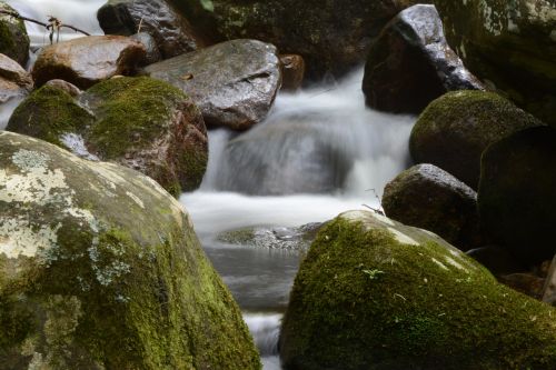 Vanduo, Krioklys, Miškas