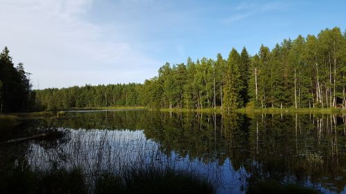 Vanduo, Miškas, Švedija, Lauke, Västmanland, Vasara, Ežeras