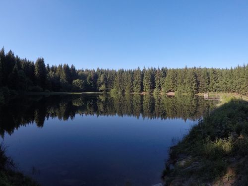 Vanduo, Gamta, Miškas, Kraštovaizdis, Tvenkinys